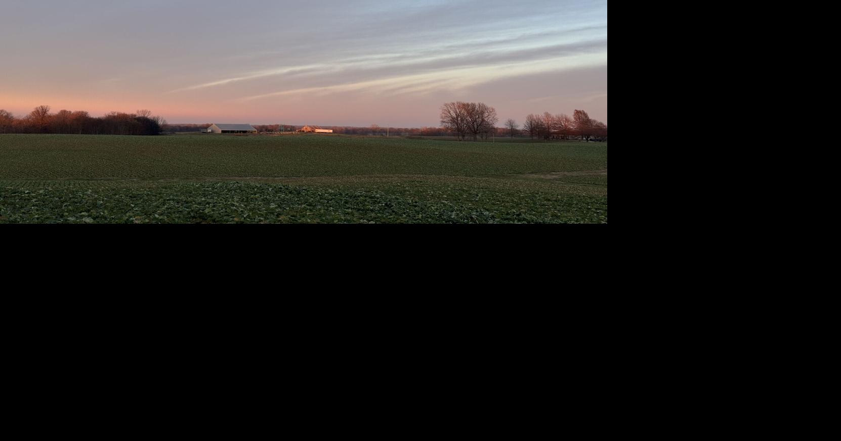 Local farm leaders say short-term aid is not enough to address root issues