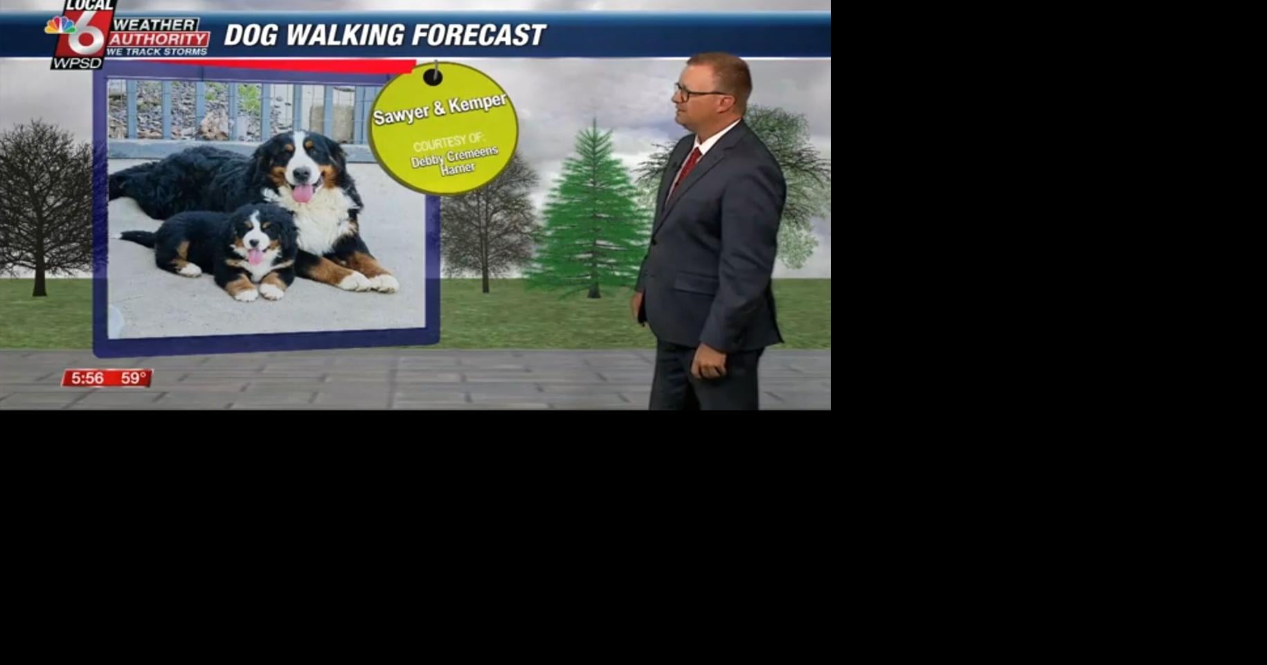 Dog walking forecast 5.26.25