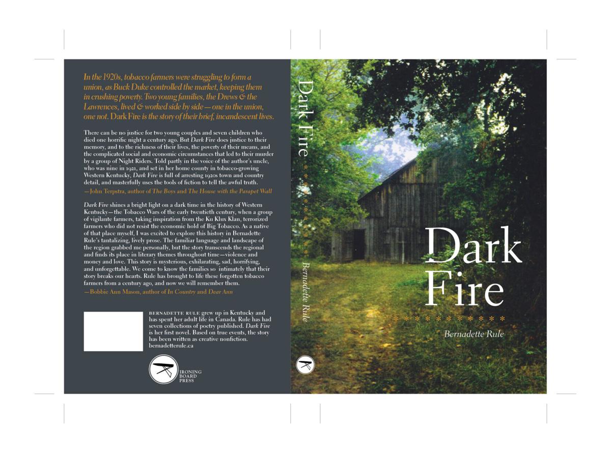 Dark Fire book cover