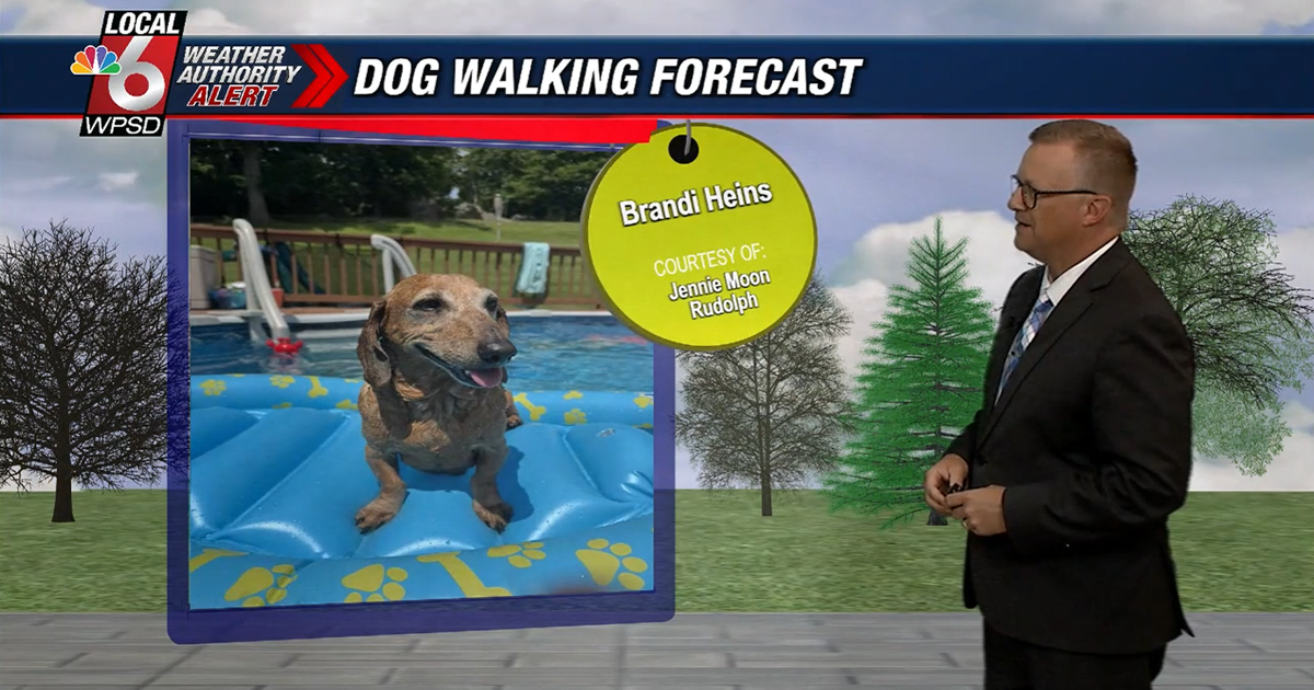 Dog walking forecast 6.24.25 | Weather Dog walking forecast 6.24.25 | Weather