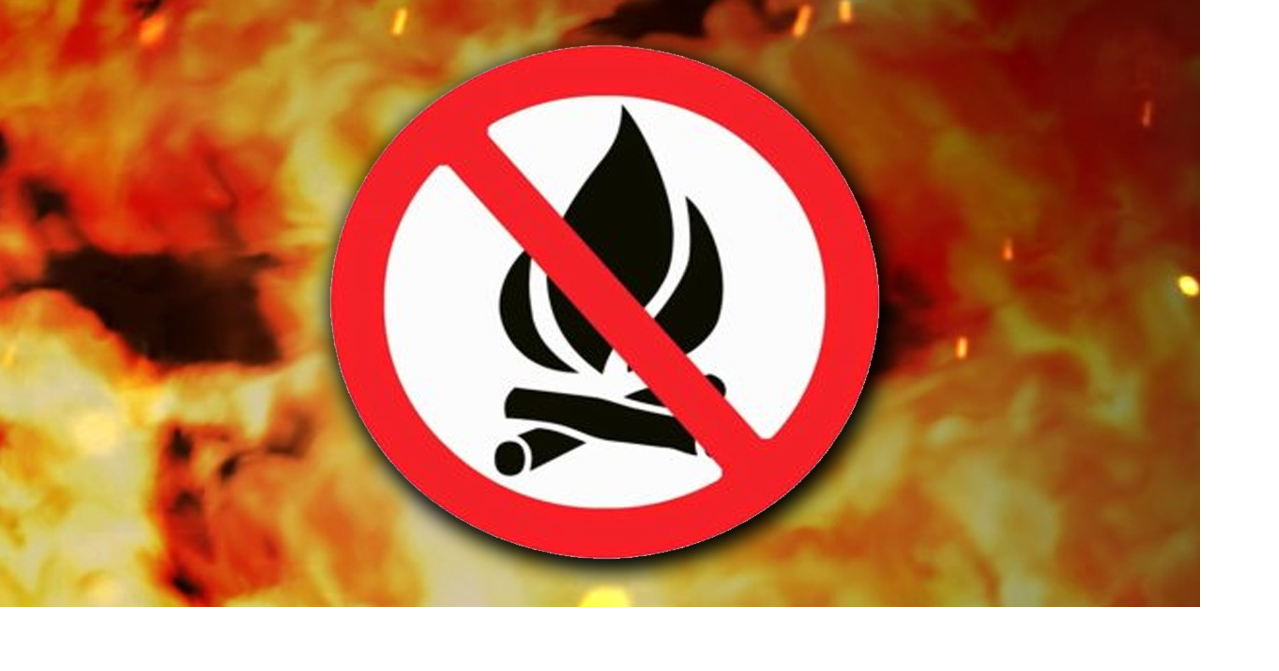 Burn ban now in effect for Benton, Kentucky News WPSD Local 6