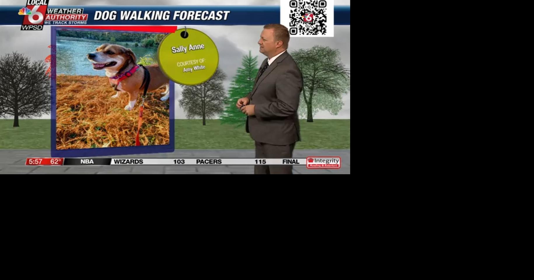 Dog walking forecast 11.25.24 | Weather