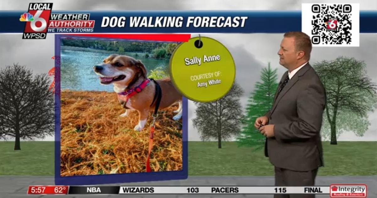 Dog walking forecast 11.25.24 | Weather Dog walking forecast 11.25.24 | Weather