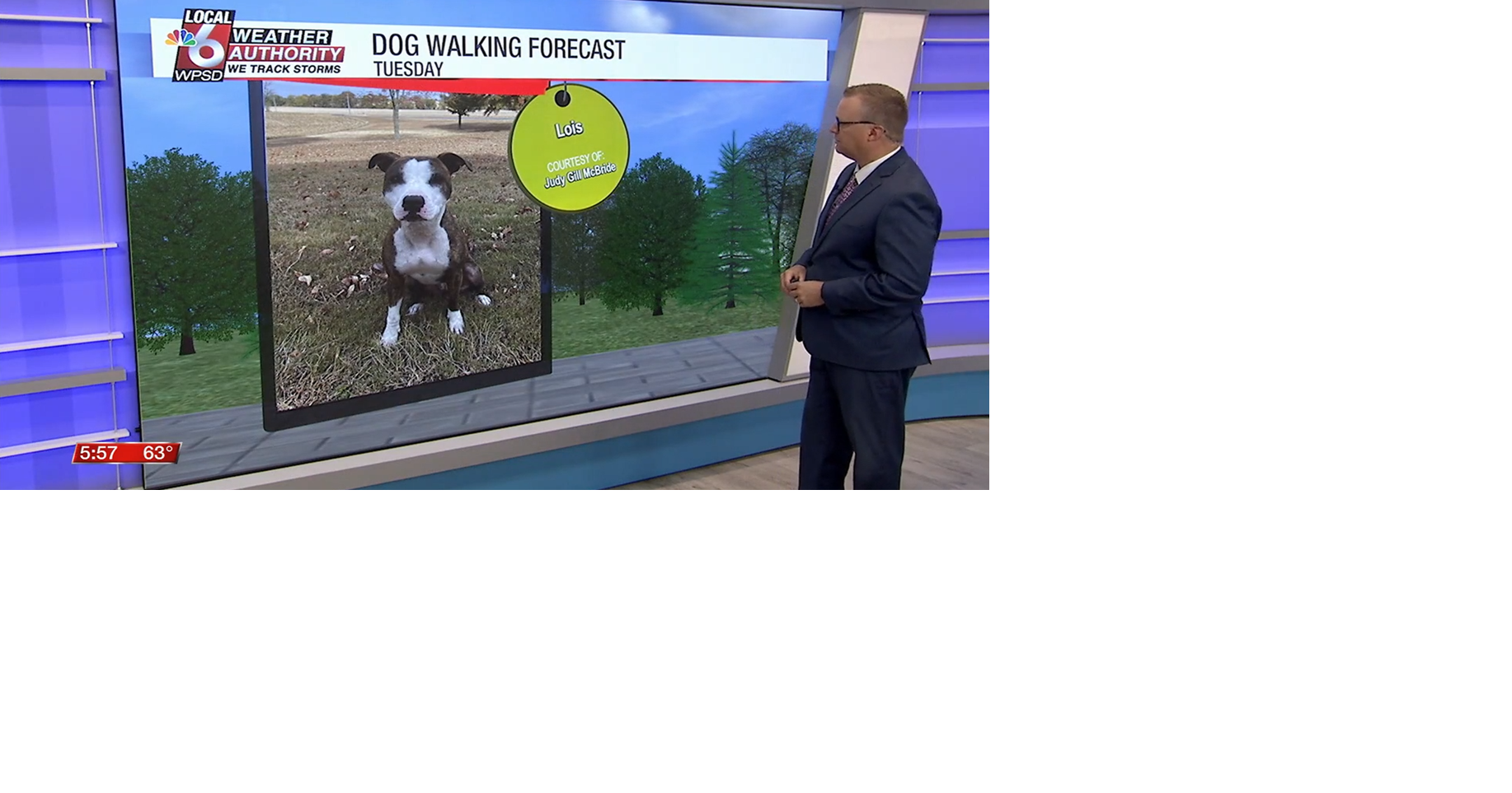 Dog walking forecast 9.2.25