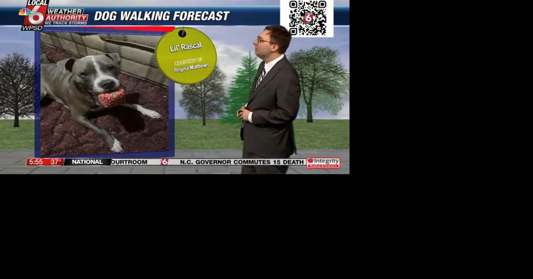Dog walking forecast 1.1.25