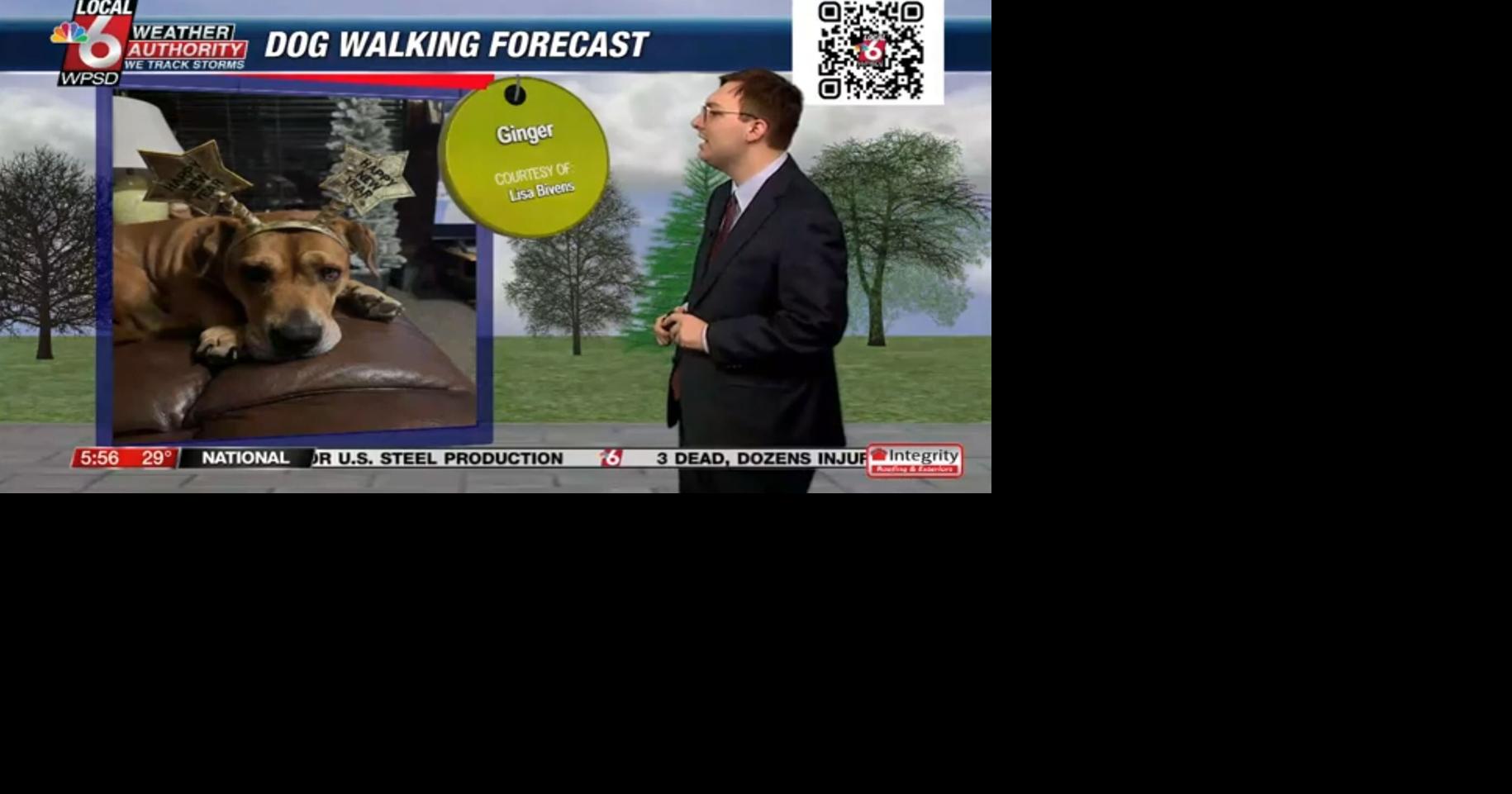 Dog walking forecast 1.2.25