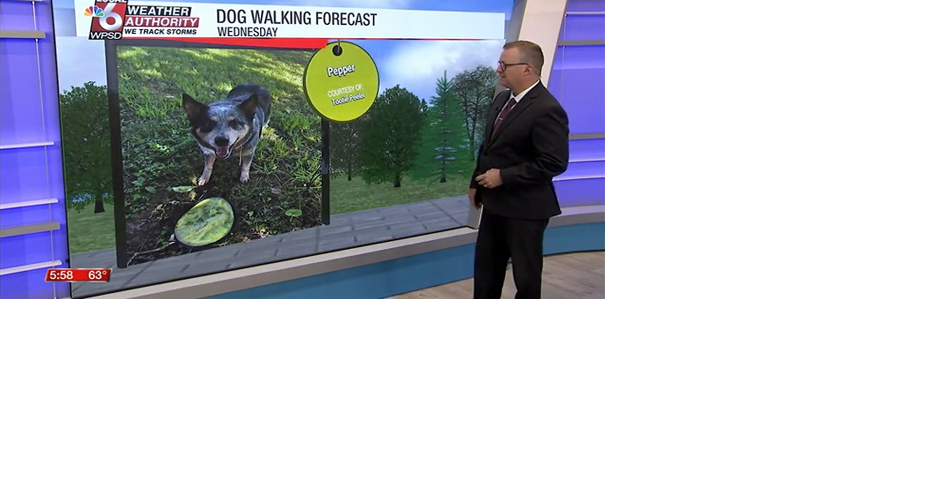 Dog walking forecast 9.17.25