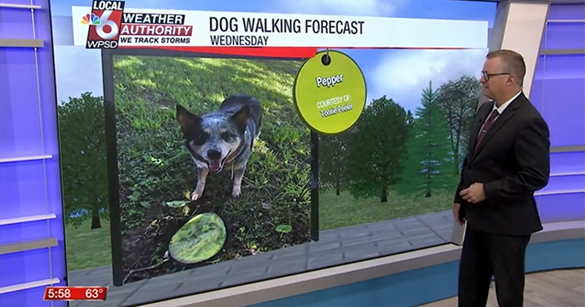 Dog walking forecast 9.17.25 Dog walking forecast 9.17.25