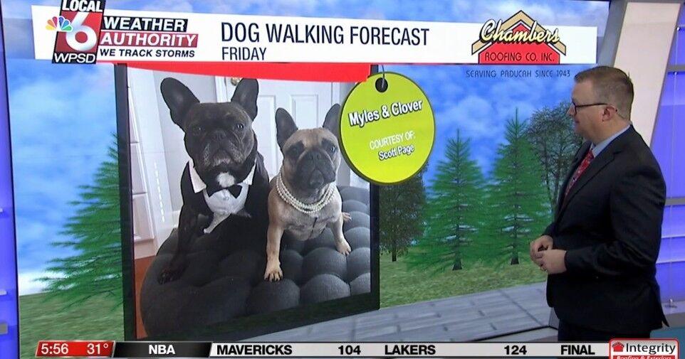Dog walking forecast 2.13.26 | News