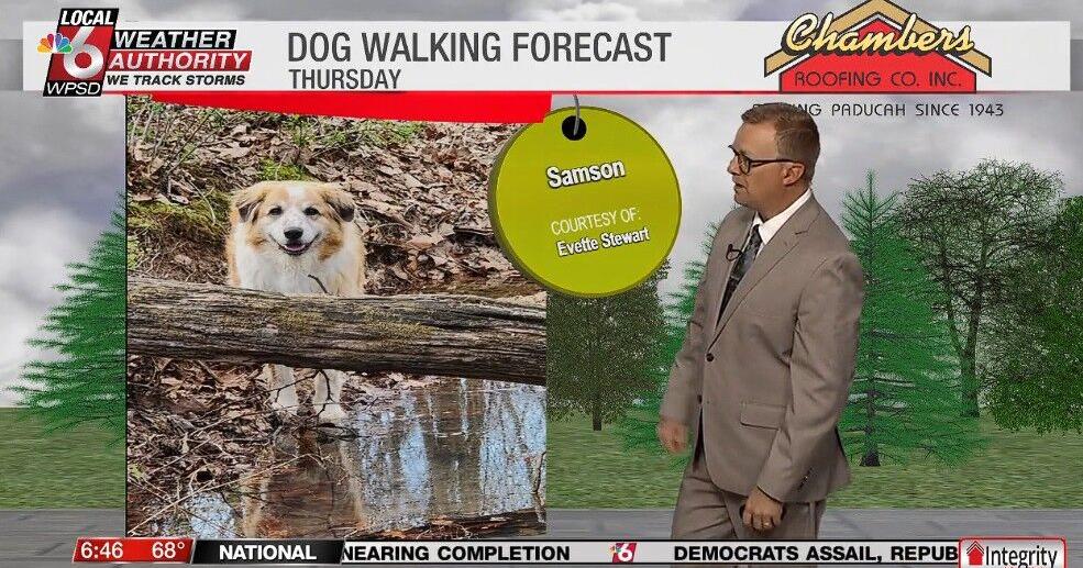 Dog walking forecast 4.2.26 | Weather Dog walking forecast 4.2.26 | Weather