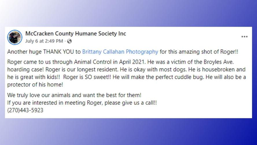 McCracken County Humane Society’s longest resident gets professional