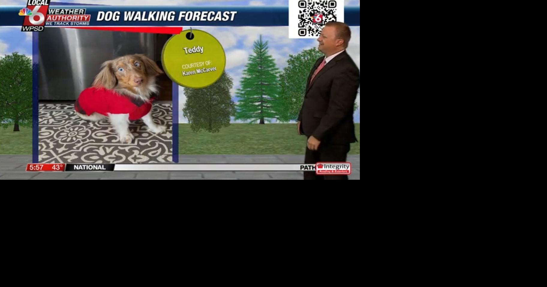 Dog walking forecast 10.28.24