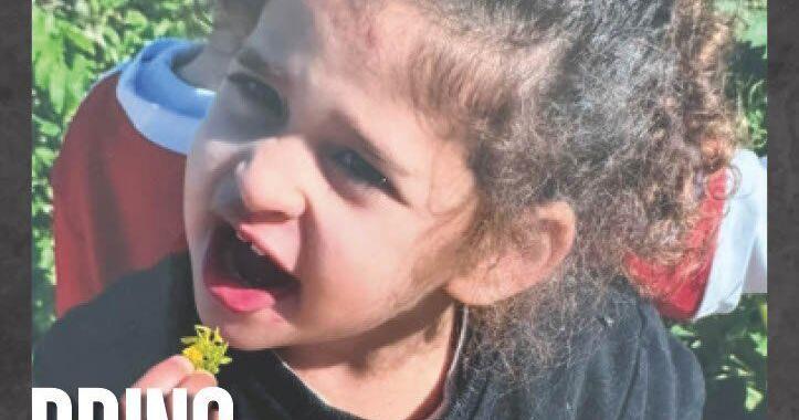 4-year-old Israeli American hostage released to Red Cross - Vimarsana News