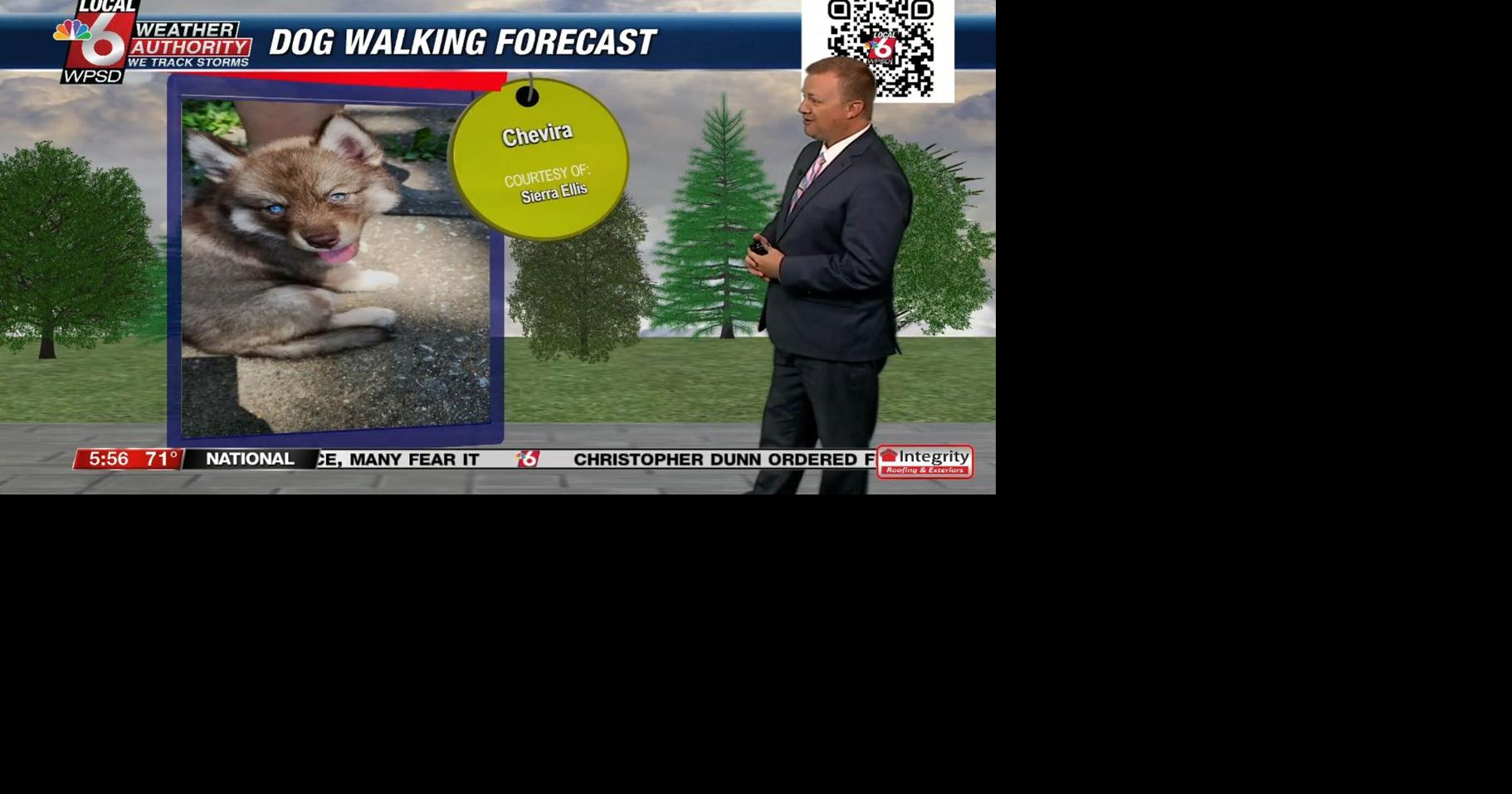 Dog walking forecast 7.23.24 | Weather