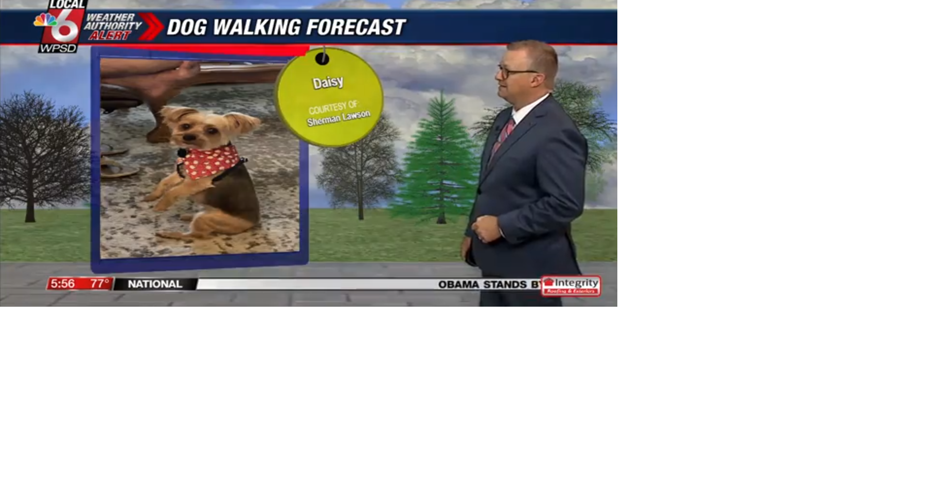 Dog walking forecast 7.23.25