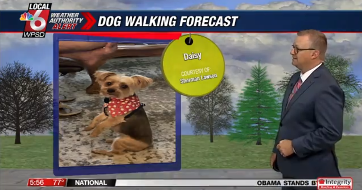 Dog walking forecast 7.23.25 Dog walking forecast 7.23.25