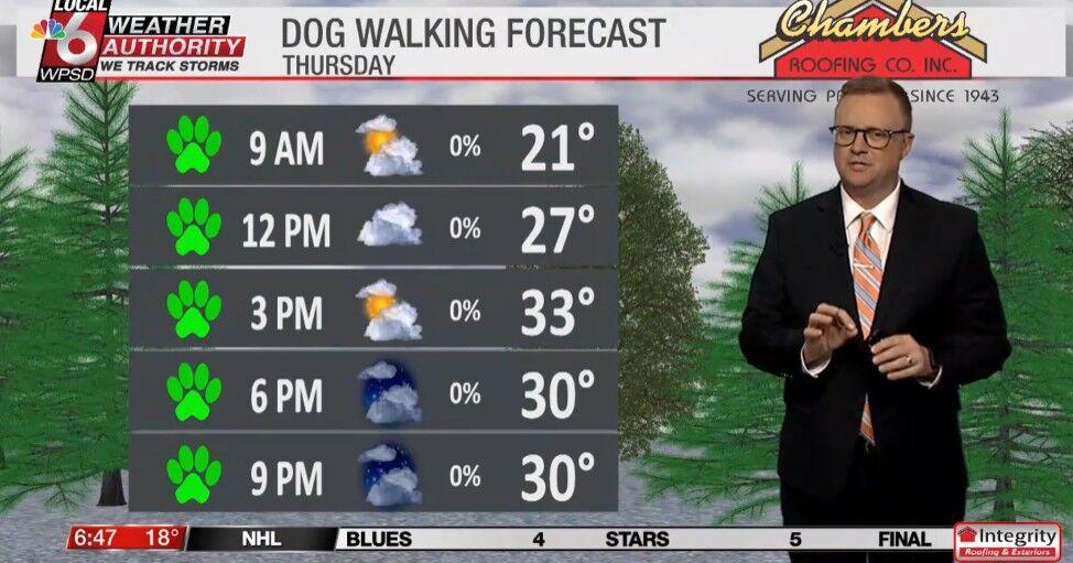 Dog walking forecast 2.5.26 | Weather