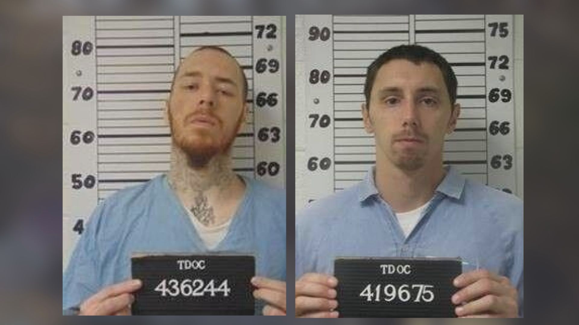West Tennessee inmates still on the run after stealing several vehicles - Vimarsana News