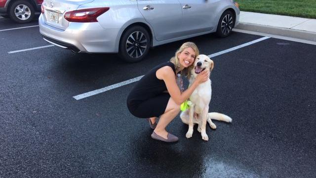 Clear The Shelters Gives Pets Around The Local 6 Area Their Forever Homes News Wpsd Local 6