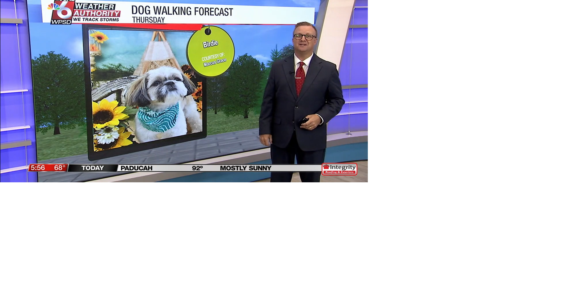 Dog walking forecast 8.7.25