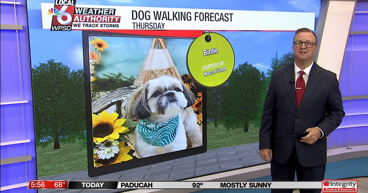 Dog walking forecast 8.7.25 Dog walking forecast 8.7.25