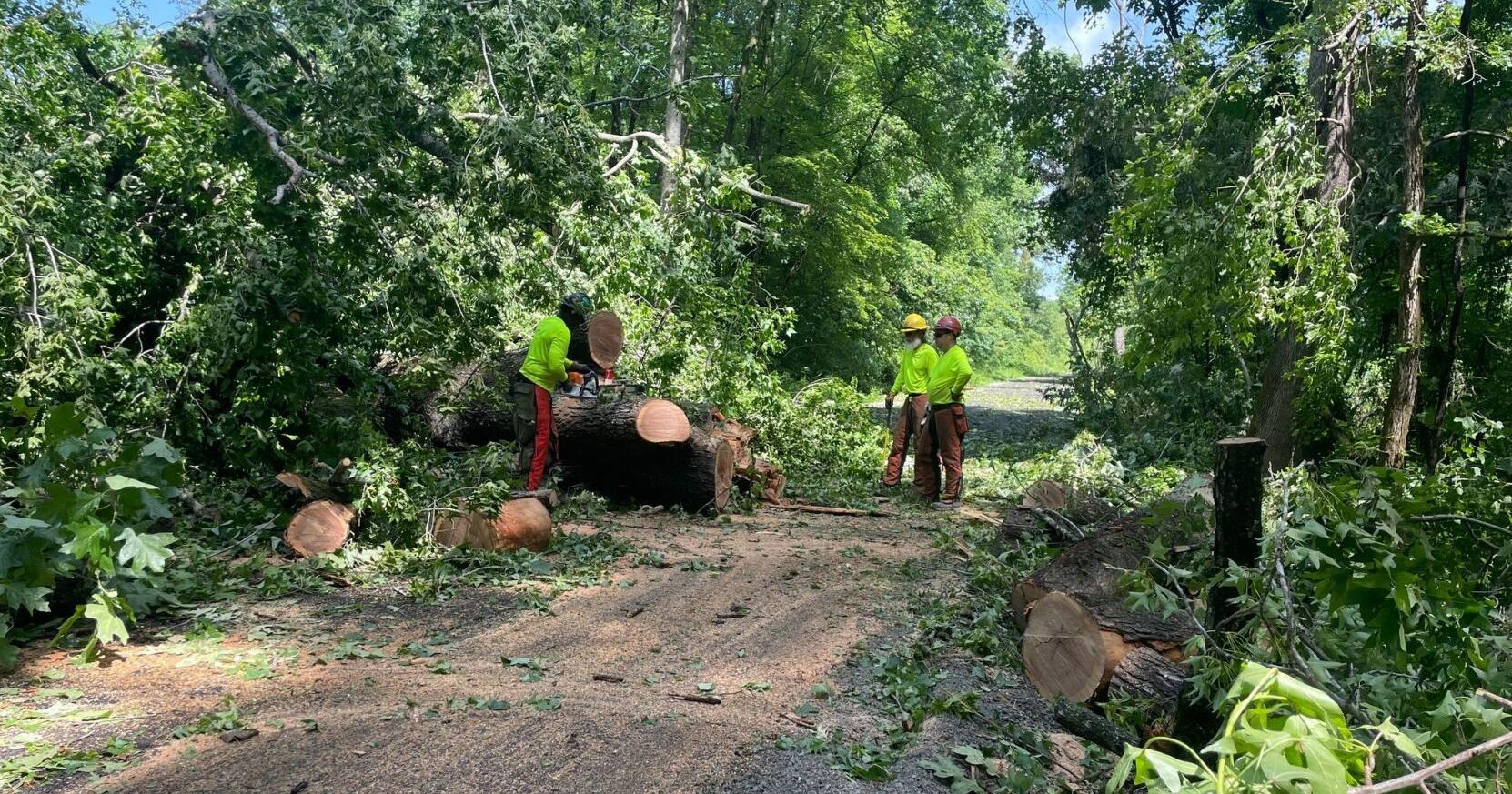 LBL reports several closures due to storm damage, power outages - Vimarsana News
