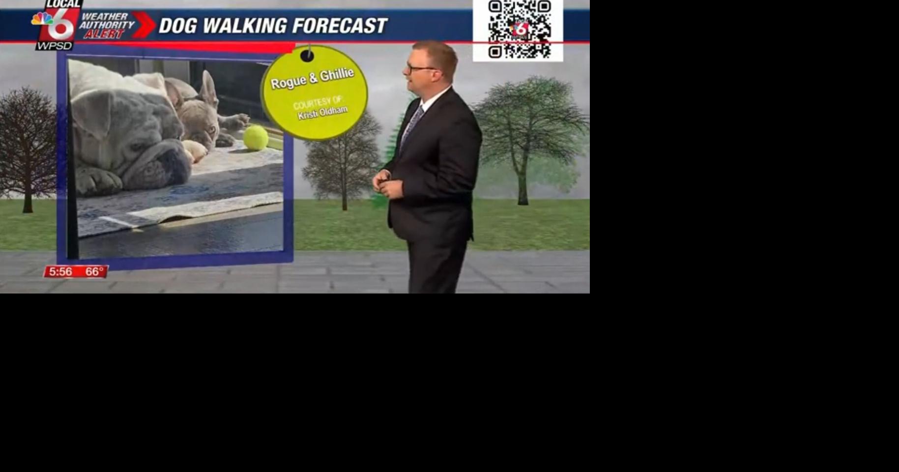 Dog walking forecast 4.3.25 | Weather