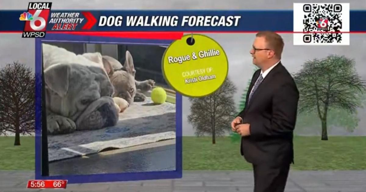 Dog walking forecast 4.3.25 | Weather Dog walking forecast 4.3.25 | Weather