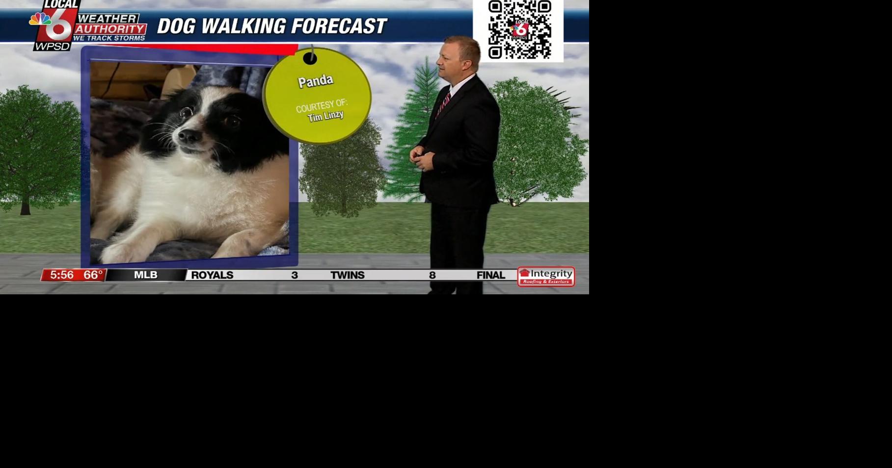 Dog walking forecast 8.13.24