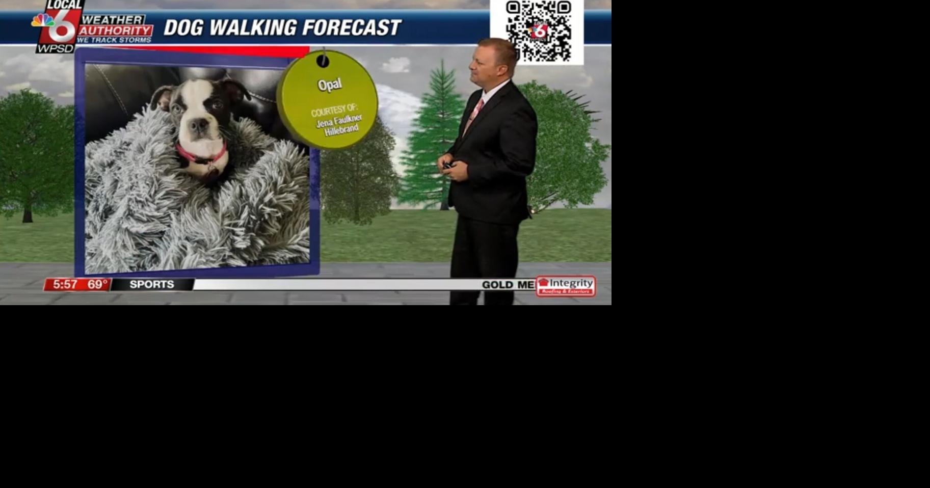 Dog walking forecast 7.24.24 | Weather