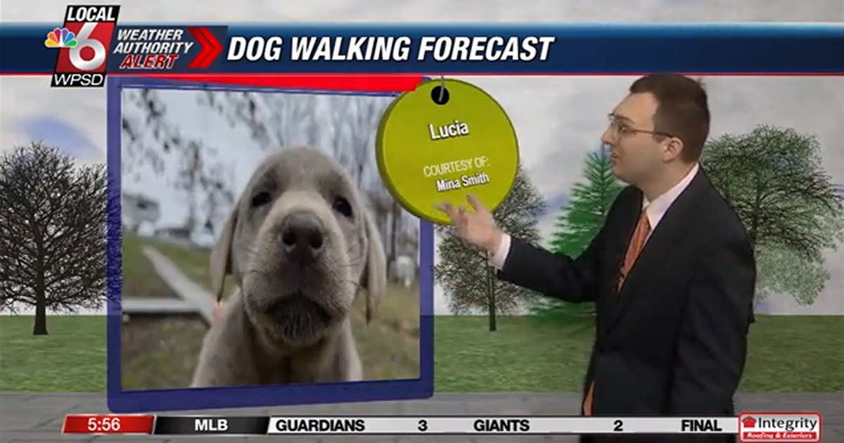 Dog walking forecast 6.18.25 Dog walking forecast 6.18.25