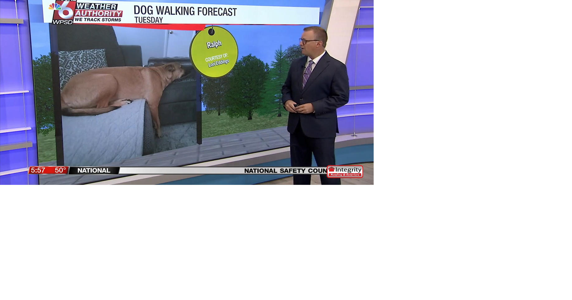 Dog walking forecast 8.26.25