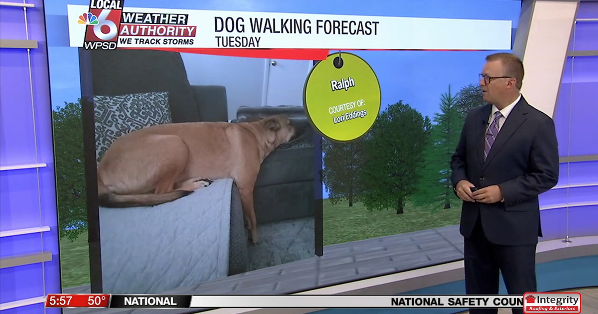 Dog walking forecast 8.26.25 Dog walking forecast 8.26.25