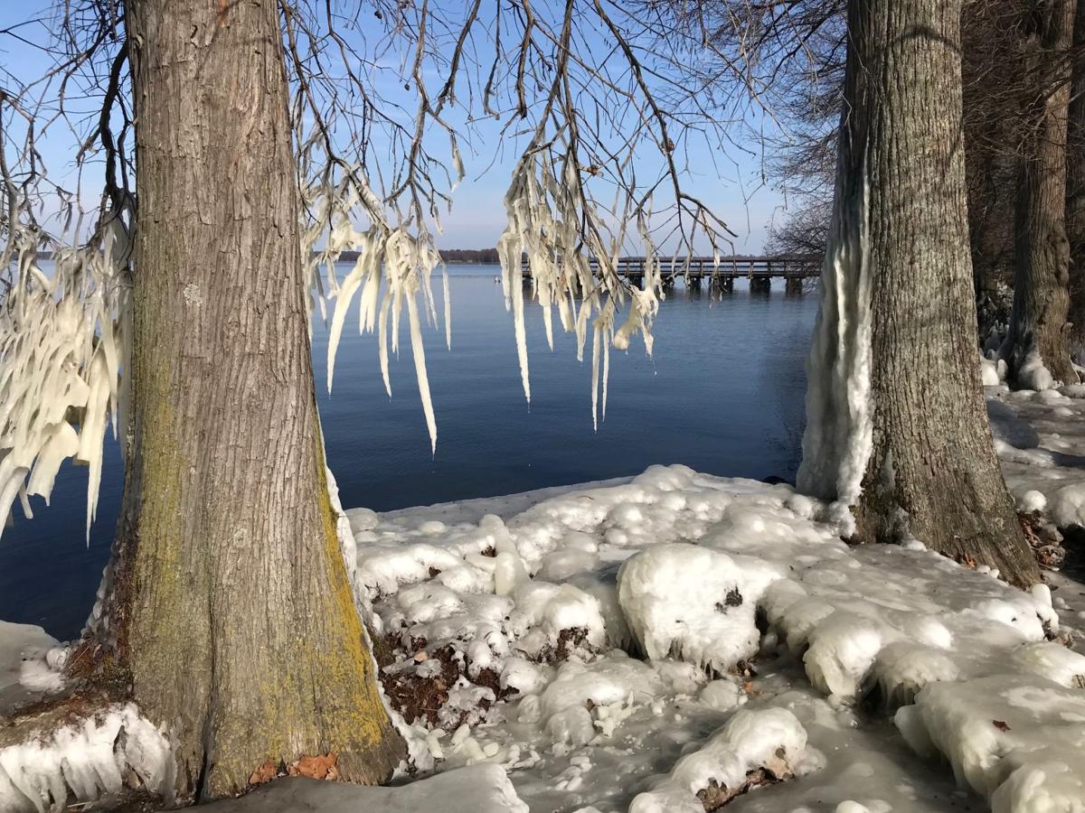 Frozen beauty at Reelfoot Lake  <span class=tnt-section-tag no