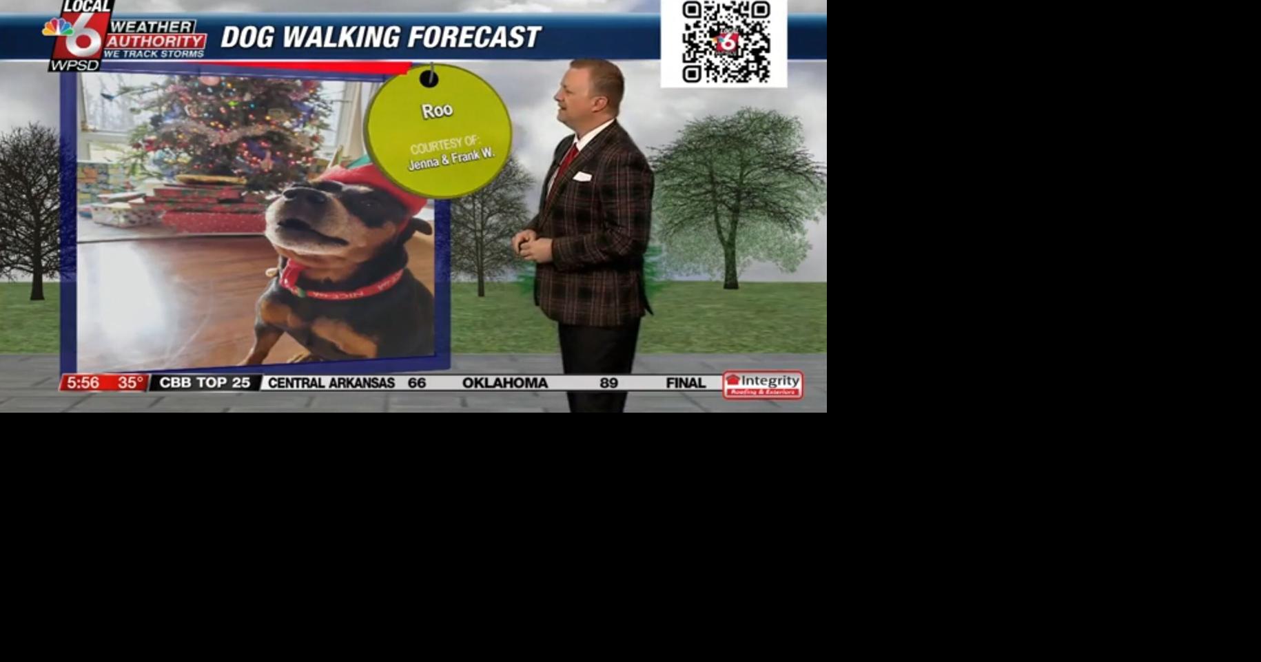 Dog walking forecast 12.23.24