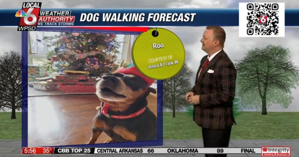 Dog walking forecast 12.23.24 Dog walking forecast 12.23.24