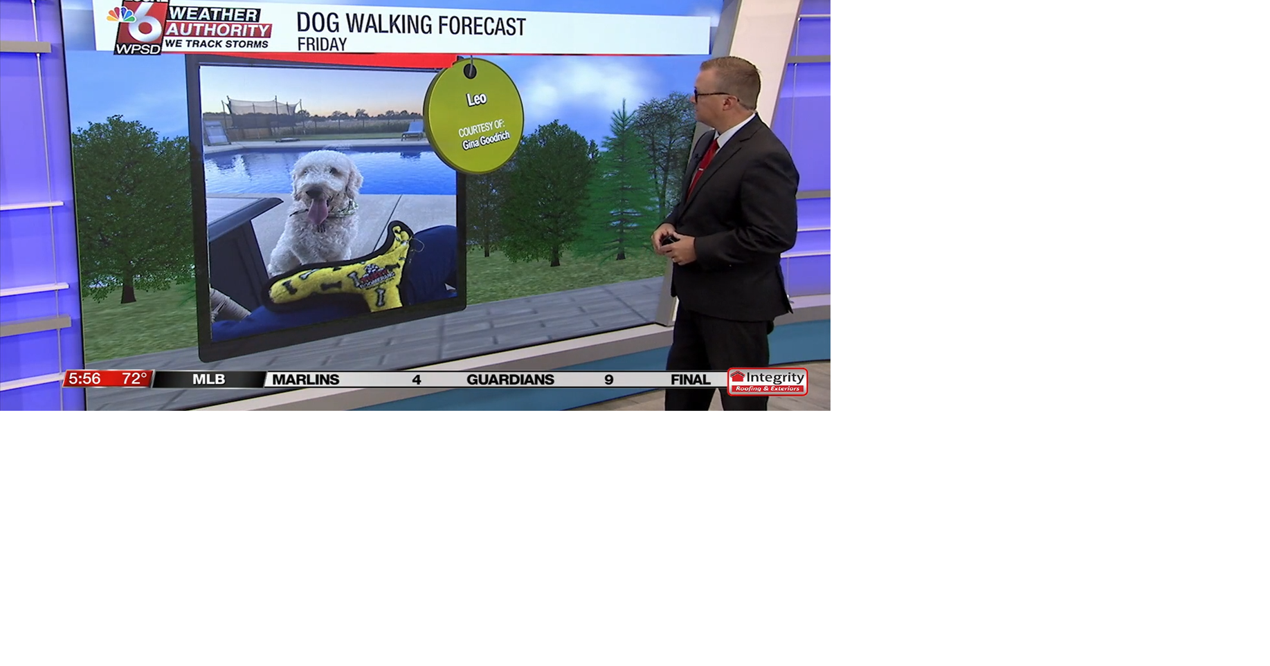 Dog walking forecast 8.15.25