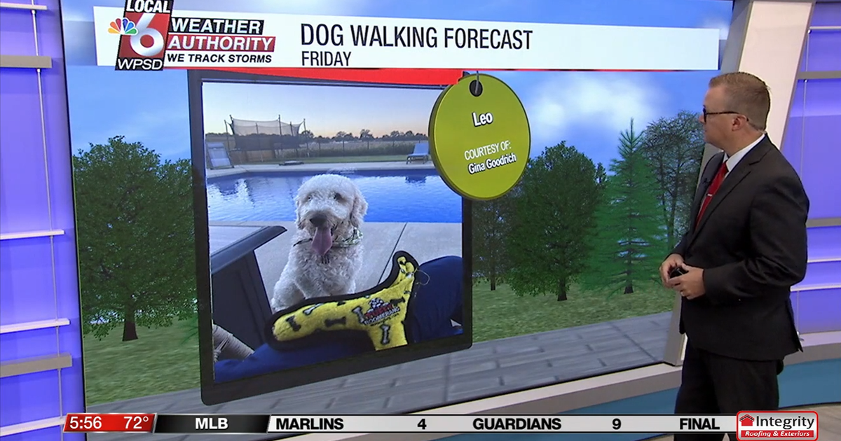 Dog walking forecast 8.15.25 Dog walking forecast 8.15.25