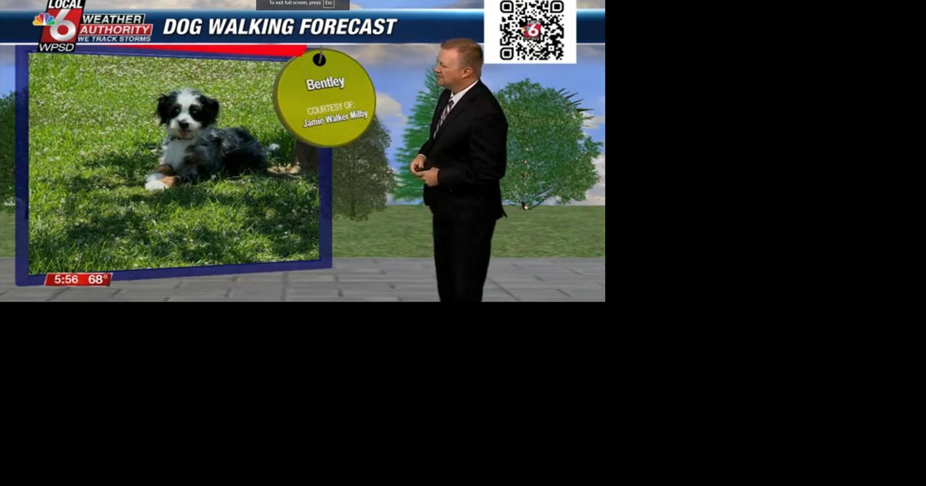 Dog walking forecast 7.22.24 | Weather
