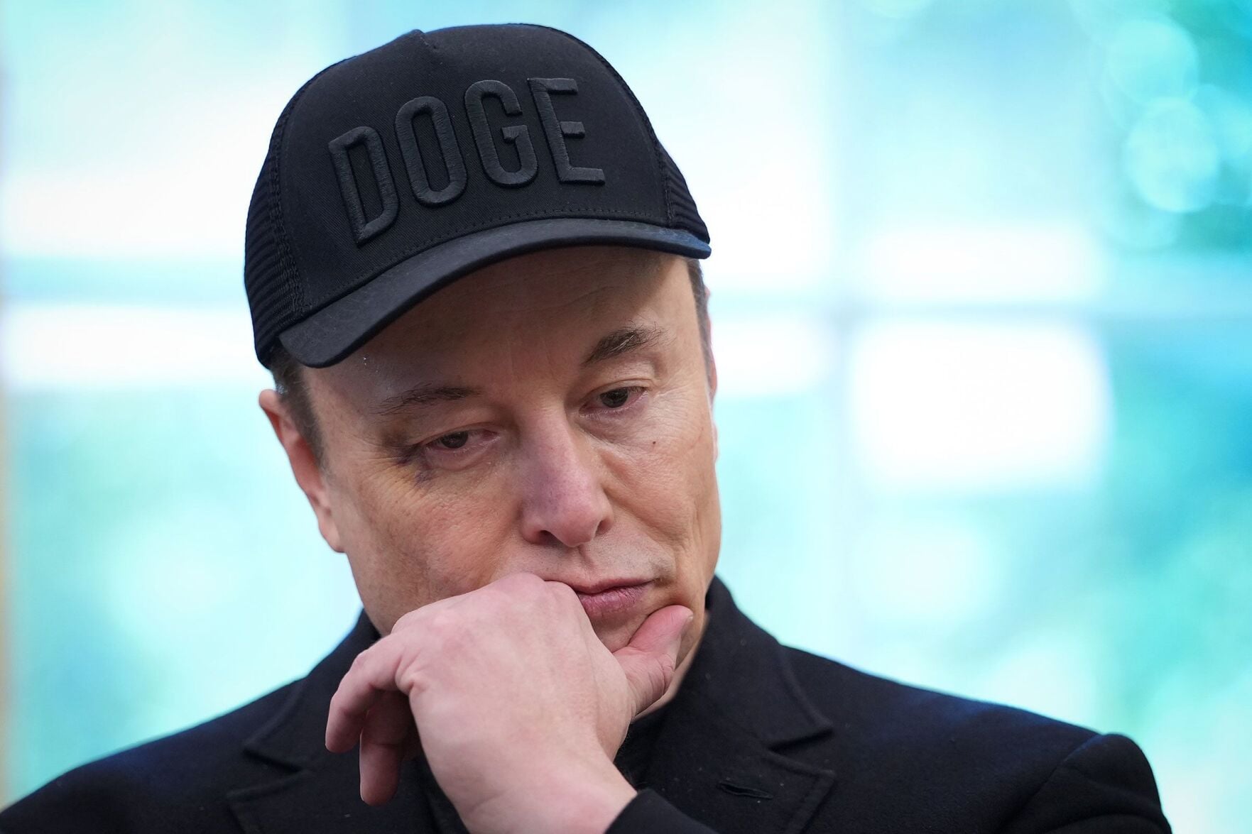 Vip Doge What we know and don’t know about DOGE’s reported demise | News | WPSD ...