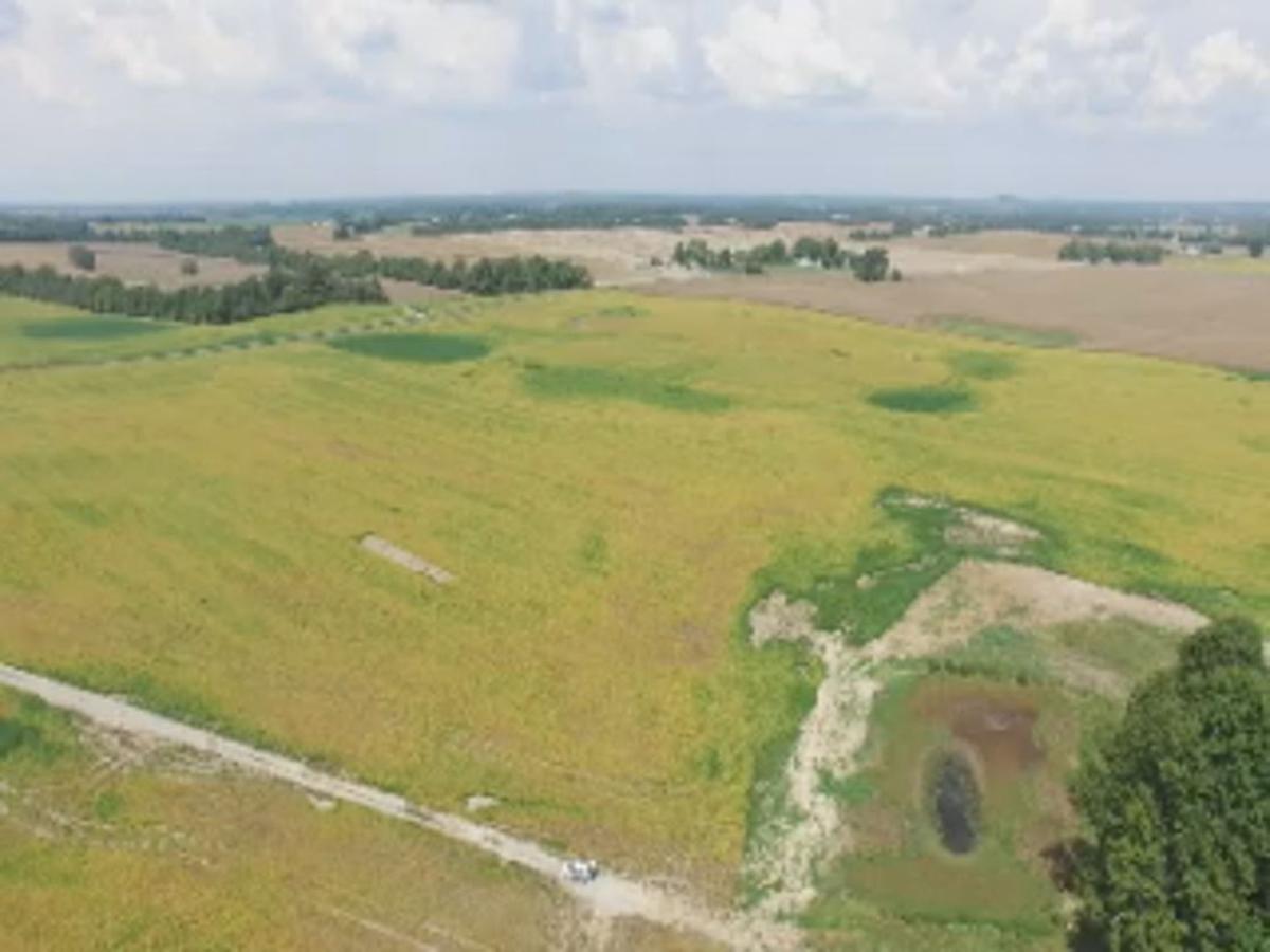 Lyon County To Have Biggest Solar Panel Farm In Kentucky By 2022 News Wpsd Local 6