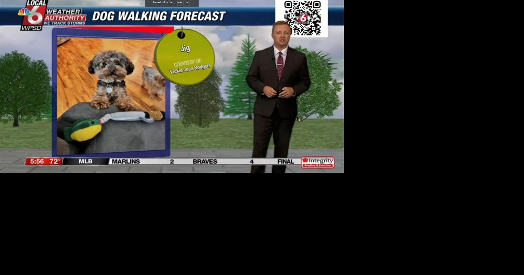 Dog walking forecast 8.2.24 | Weather