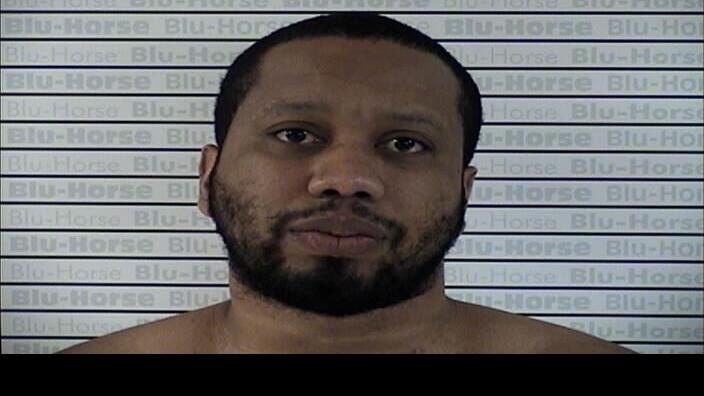 Are Black Widows Deadly To Dogs / 8 Potentially Deadly