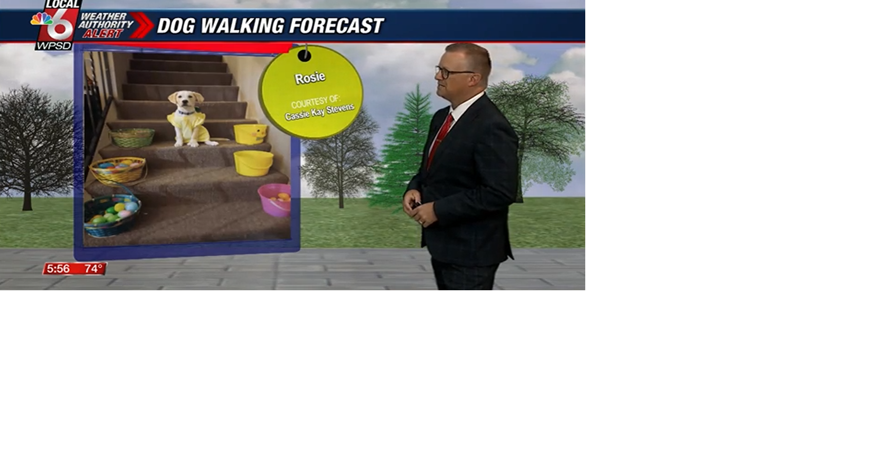 Dog walking forecast 5.25.25