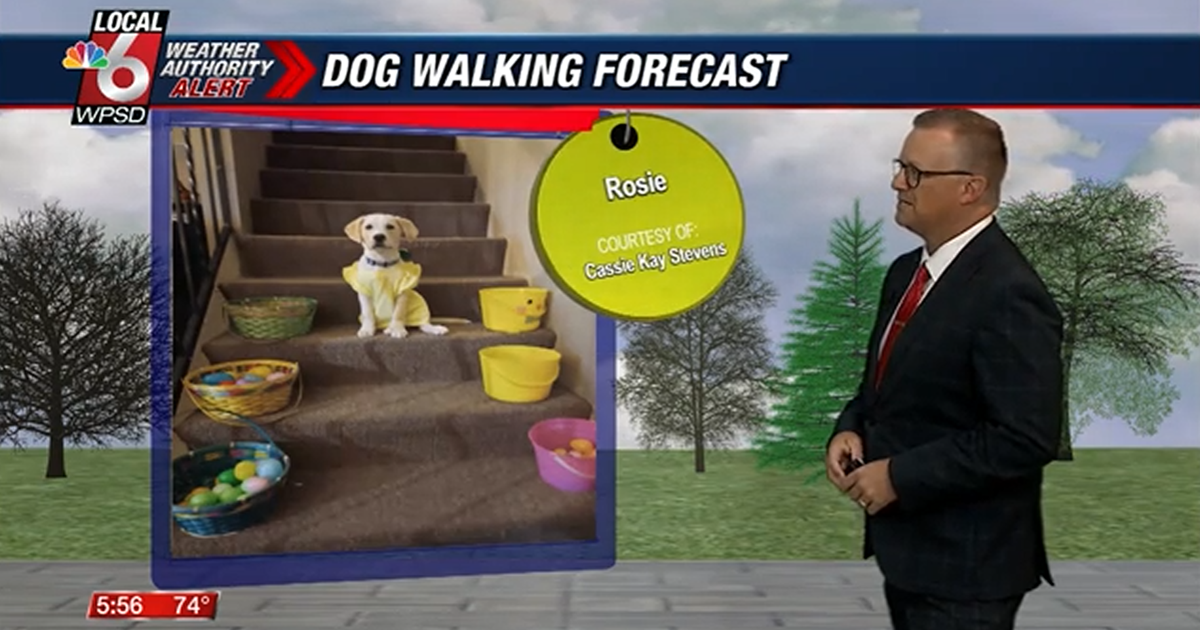Dog walking forecast 5.25.25 Dog walking forecast 5.25.25