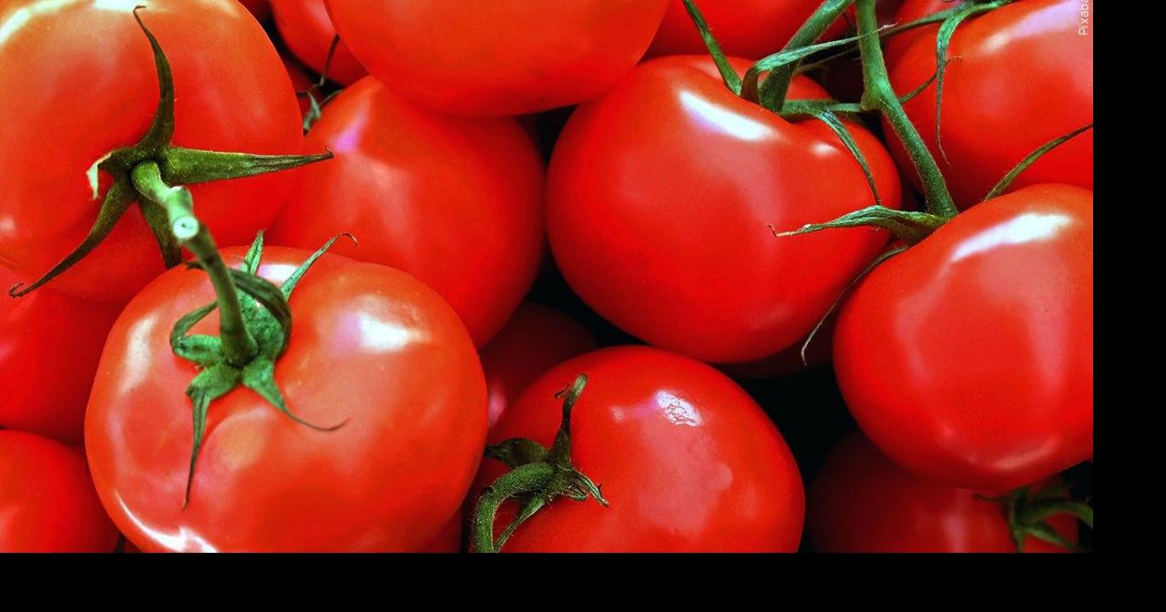 Indoor farming company backed by Martha Stewart files for bankruptcy
