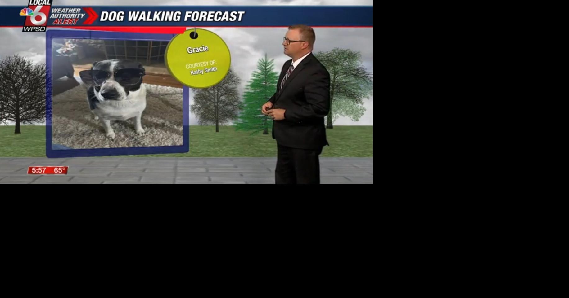 Dog walking forecast 5.19.25