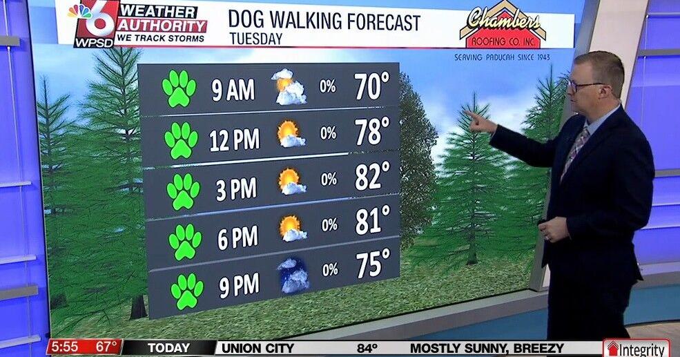 Dog walking forecast 3.31.26 | News