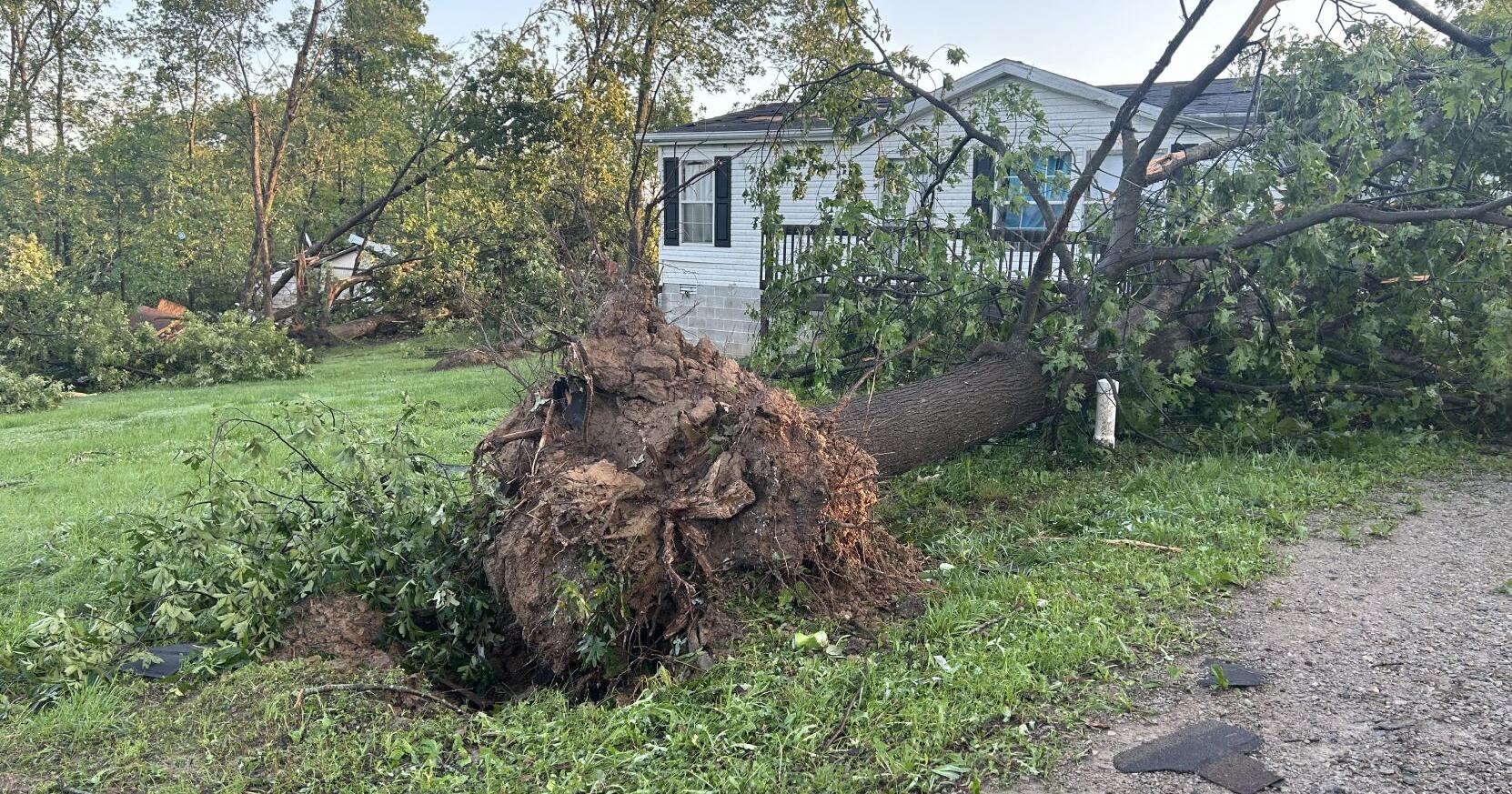 Homes destroyed, uprooted trees, downed power lines: Southern Illinois hit by Sunday's storm - Vimarsana News