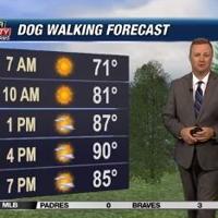 Dog Walking Forecast 5.21.24 | Weather Dog Walking Forecast 5.21.24 | Weather